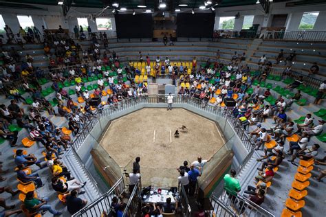 Inside the Ring: A Guide to the Iconic Sabong Arenas.